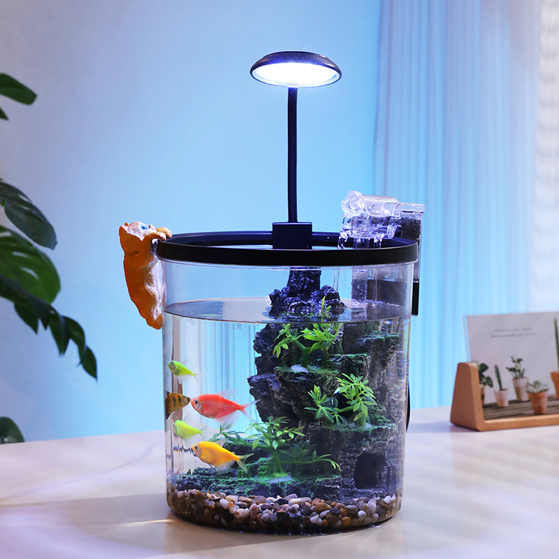 コンパクトな丸型金魚鉢 - 酸素供給と流水エコサイクルを備え - Marine Aquarium With Sump のレビューと価格