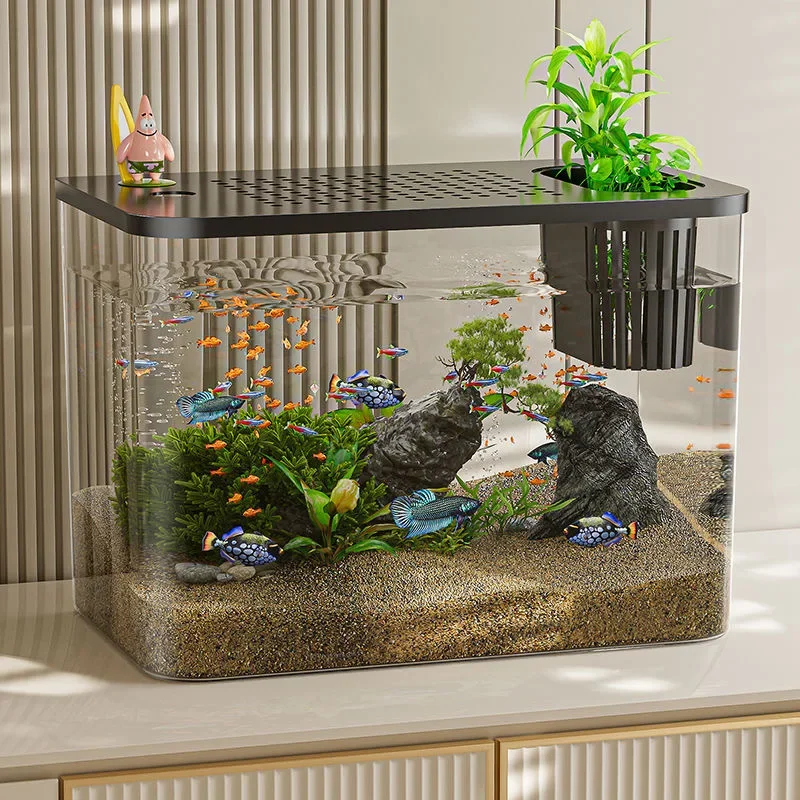 ペット + ABS 水槽新しい透明蓋付き水族館落下耐性水耕タ - Marine Aquarium With Sump のレビューと価格